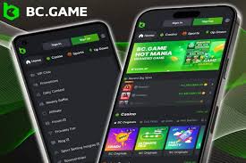 BC.Game Login Process for African Players A Comprehensive Guide 689315473