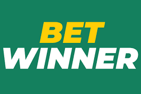 BetWinner Bookmaker A Comprehensive Guide to Betting